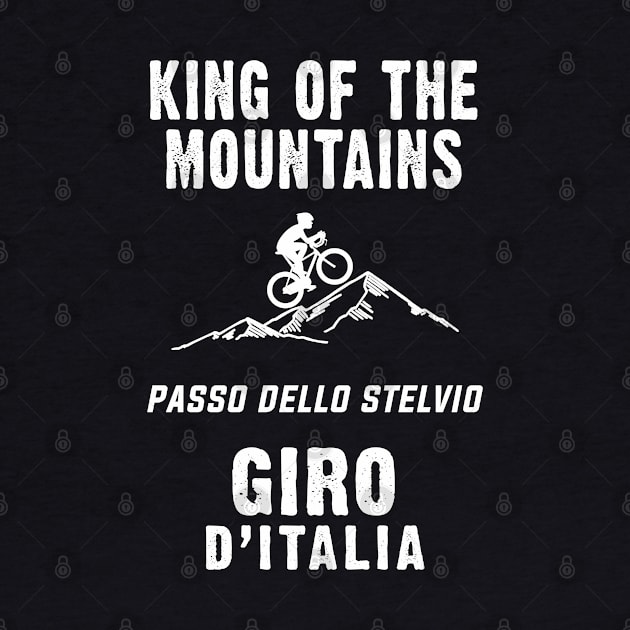 PASSO DELLO STELVIO King of the mountains Giro d`Italia For The Cycling Fans by Naumovski